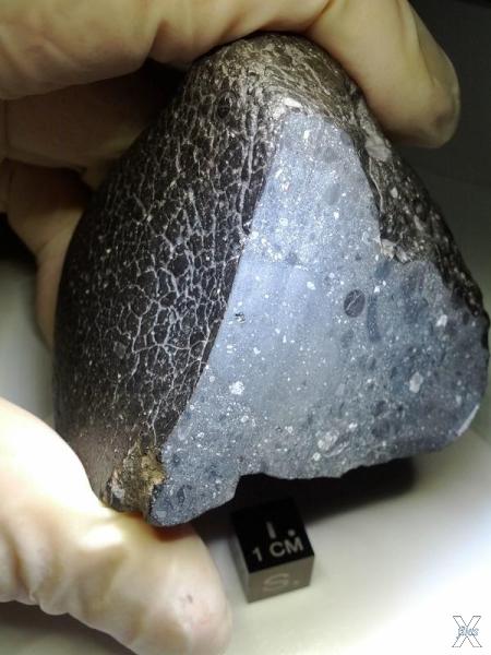 Метеорит, получивший неофициальное на...