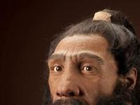 Древняя ДНК и неандертальцы
