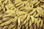 В Британии создано топливо из бананов