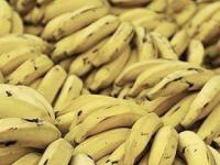 В Британии создано топливо из бананов