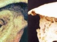 Родопский череп - еще один артефакт Ватикана?
