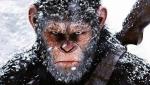 «Феномен 100-й обезьяны»: возможно ли коллективное сознание?