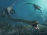 Рептилия со сверхдлинной шеей, танистрофей, жила в океане, а не на суше