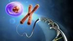Темные секреты ДНК. Ученые рассказали об опасности "чистоты крови"