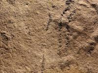 Древнейшие следы на Земле. Но кто их оставил, неизвестно