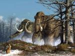 Метеорит ни при чем: ученые разгадали тайну вымирания мамонтов