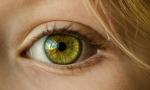 Учёные назвали способ предсказать вероятность смерти пациента по глазам