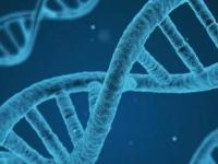 Первые ДНК возникло раньше, чем жизнь на Земле