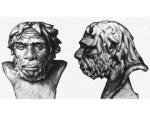 Ученые: Люди питались неандертальцами