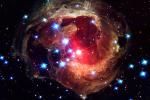 Внутри звезд заподозрили существование ядерных существ