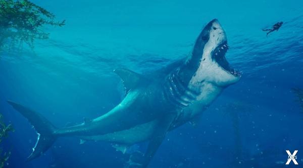 Мегалодон — вид вымерших акул из семе...