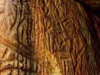 На "горе пришельцев" в Шри-Ланке найдены петроглифы, связанные с людьми эпохи неолита