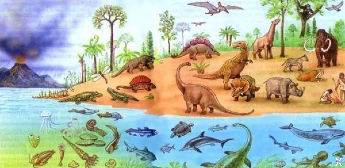 В какой последовательности появлялись животные. Фанерозой мезозой. Эволюция живых организмов на земле. Эволюция жизни на земле. Зарождение жизни на земле.