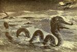 Великий морской змей залива Каско