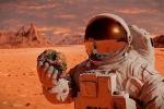 Какое научное открытие самое важное в истории, заменят ли нас роботы и правда ли, что Марс станет новым туристическим курортом