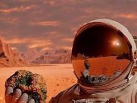 Какое научное открытие самое важное в истории, заменят ли нас роботы и правда ли, что Марс станет новым туристическим курортом