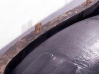 Найдена разгадка чёрной жидкости из древнеегипетского саркофага