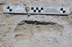 Душещипательную историю рассказали ученые, изучив следы, которые оставили мать и ее дитя 13000 лет назад