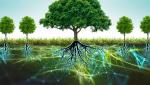Грибы как основа жизни на планете, средство общения деревьев между собой и возможное спасение человечества