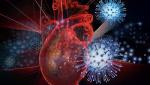 "Настоящая резня". Ученые рассказали, как коронавирус действует на сердце