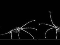 Палеонтологи перевернули представления о длинношеих динозаврах