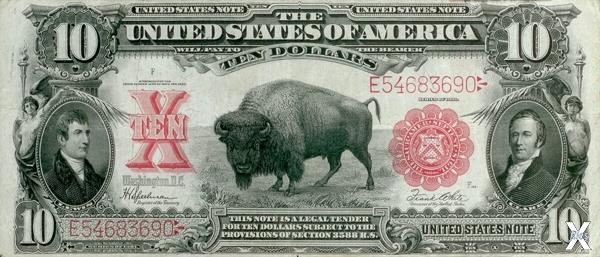 10 долларов 1901 год, "Бизон"