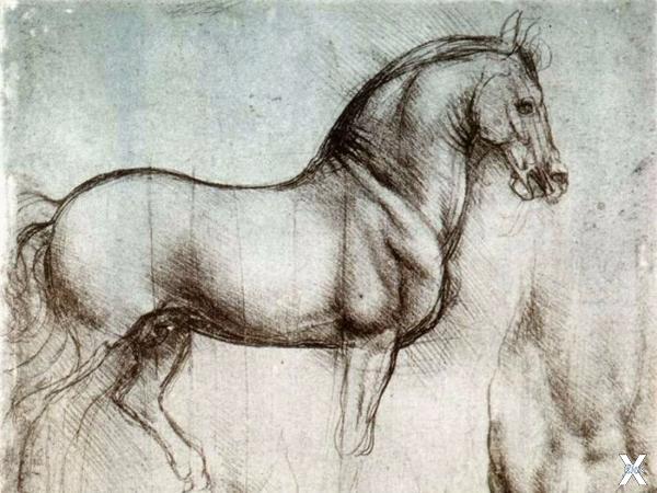 Леонардо да Винчи: Рисунок лошади