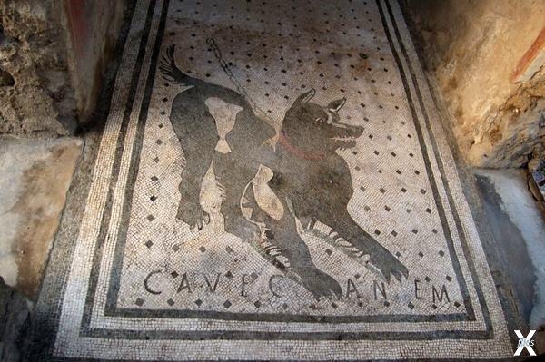 Мозаика из Помпей с изображением соба...