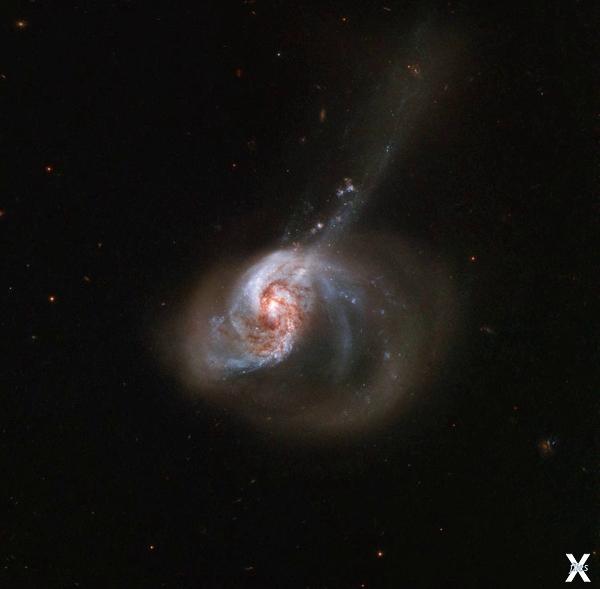 Галактика NGC 1614