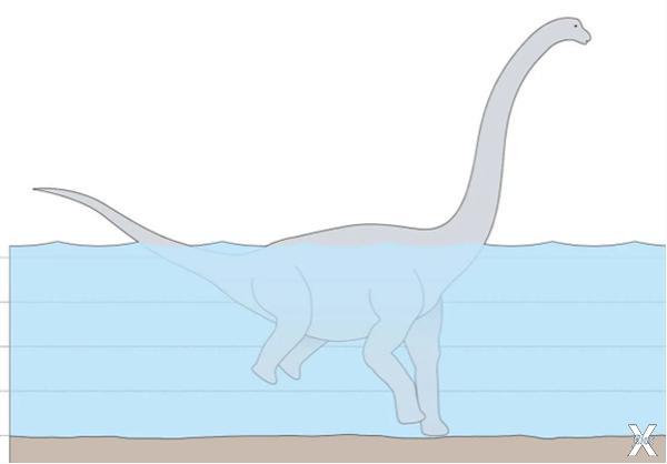 Динозавры способны ходить на двух ногах