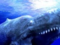 Факты о левиафане, гигантском доисторическом ките