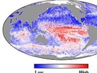 Биологи составили "карту здоровья" океанов
