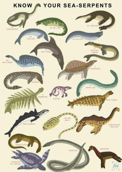 Разнообразие видов "морских змеев"