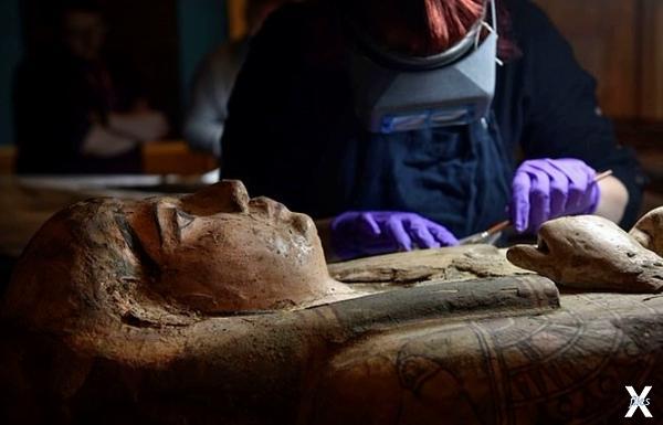Египетские мумии продолжают удивлять