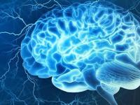 Ученые обнаружили в мозге «включатель» сознания