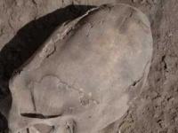 Антропологи отказались рассекретить кладбище пришельцев