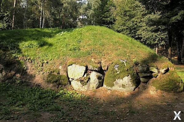 Одна из мегалитических гробниц в Куявии