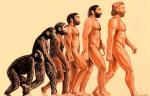 Новое исследование ДНК опровергло "сенсационную" гипотезу об эволюции человека