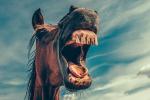«Капля никотина убивает лошадь»: правда или миф?