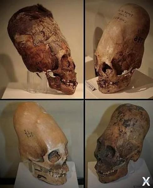 Находки удлинённых черепов в Перу