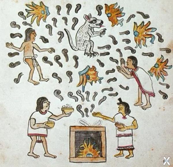 В ацтекском кодексе Magliabechiano им...