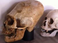 Кому принадлежат удлиненные черепа Паракаса: получен результат ДНК-анализа