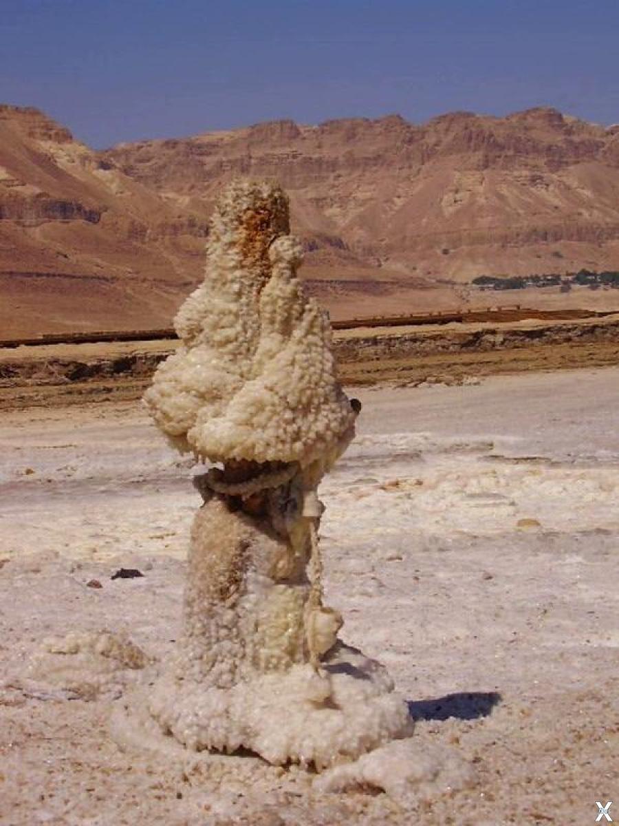 Мертвое море соляной столб жена лота