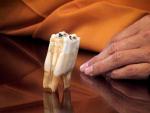 Зуб Будды Шакьямуни - священная реликвия буддизма