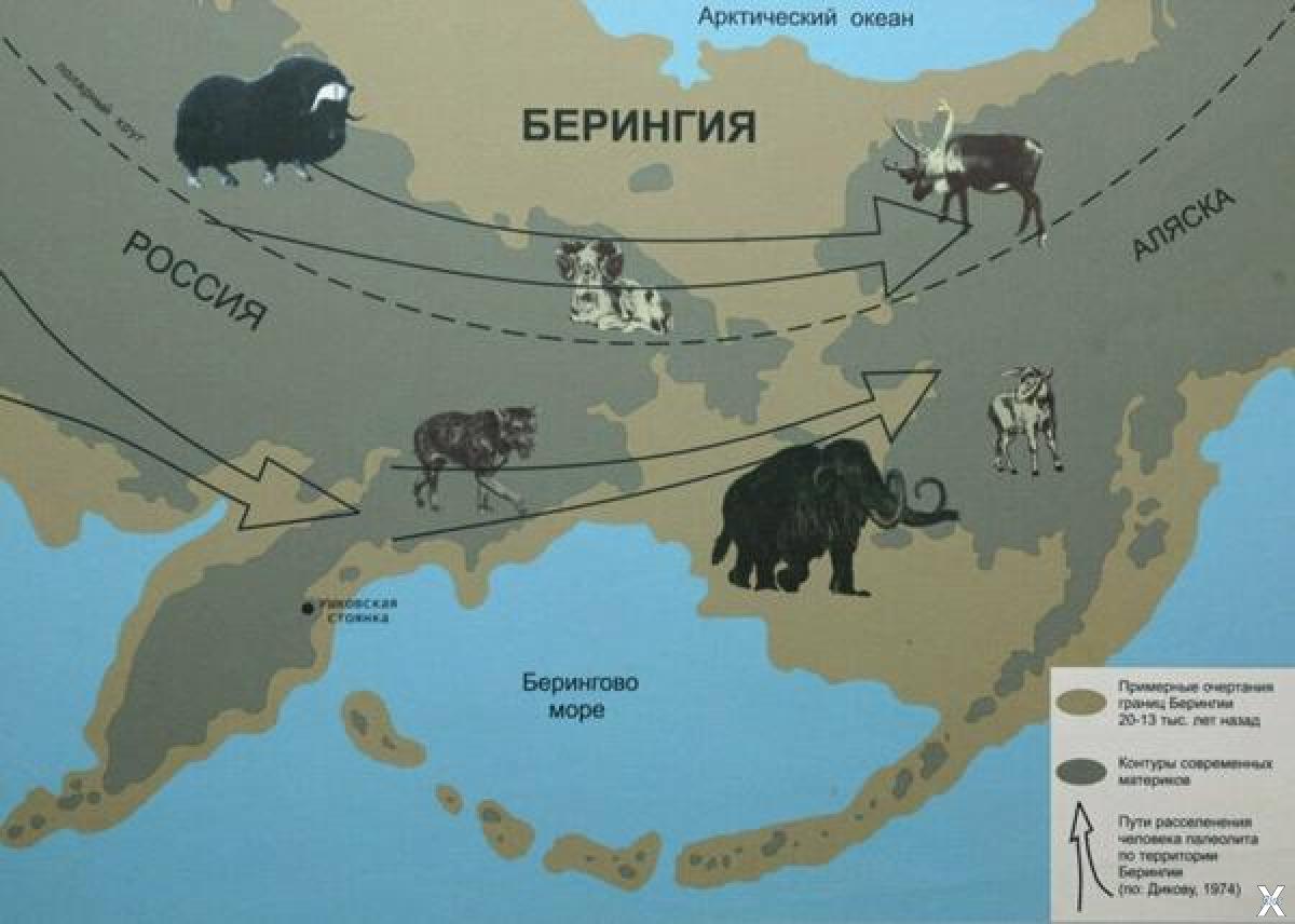 Пролив евразия северная америка. Национальный парк Берингия на карте. Сухопутный мост Берингия. Сухопутный мост между Евразией и Северной Америкой. Берингия карта.