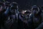 Тайны XX века: 50 лет назад шимпанзе развязали в Африке гражданскую войну