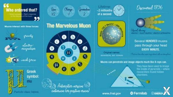 Некоторые сведения о мюоне, предостав...