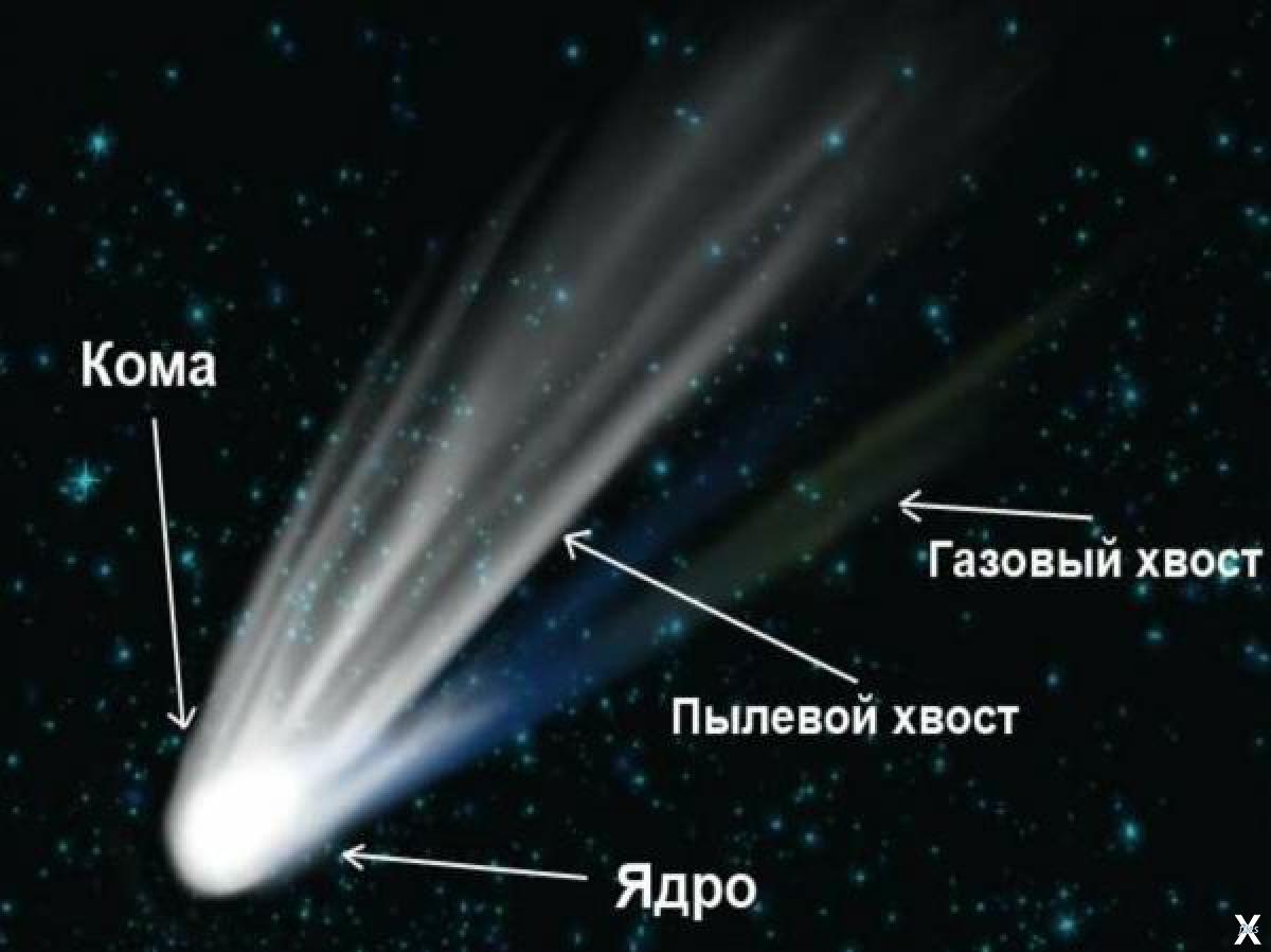 Почему у кометы хвост. Состав кометы Галлея. Комета кома ядро хвост. Из чего состоит Комета Галлея. Строение кометы рисунок.