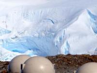 Как территория Антарктиды провозглашена русским княжеством