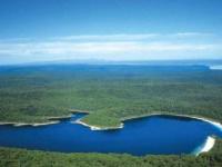 В земных озёрах быстро иссякает кислород, что грозит гибелью всему живому